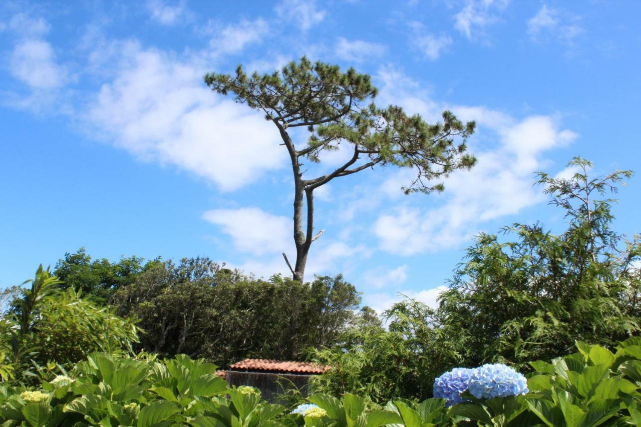 Quinta Do Torreao Villa Capelas Bagian luar foto